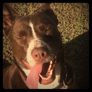 Meet your Posher, Leeza